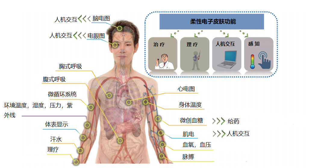 柔性電子皮膚